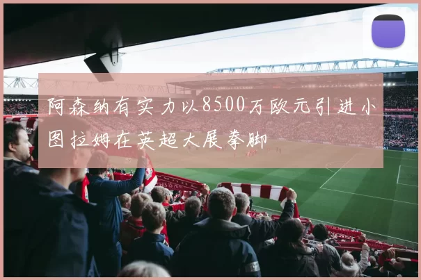 阿森纳有实力以8500万欧元引进小图拉姆在英超大展拳脚