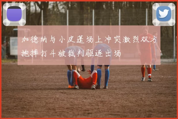 加德纳与小皮蓬场上冲突激烈双方抱摔打斗被裁判驱逐出场