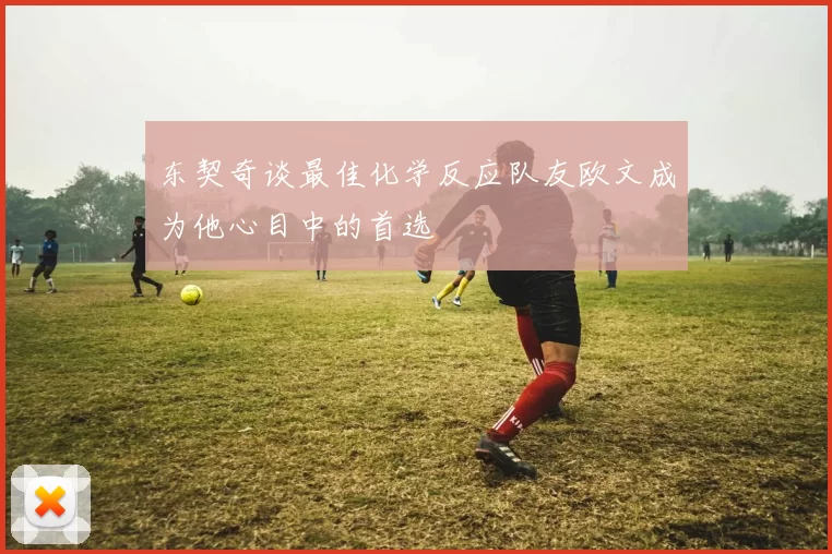 东契奇谈最佳化学反应队友欧文成为他心目中的首选